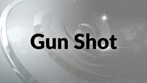 Gun Shot on Sakshi tv - past program