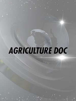 Agriculture Doc on India News Haryana - past program