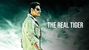The Real Tiger on Zee Cinema HD - past program