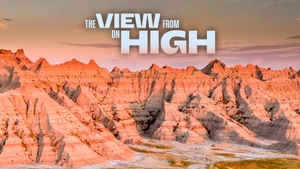 The View From on High on Animal Planet HD Hindi - past program