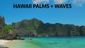 Hawaii Palms + Waves on Stingray Naturescape - future program