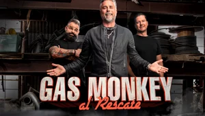 Garage Rehab on Discovery Turbo - past program
