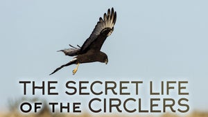 The Secret Life of the Circlers on INWILD - past program