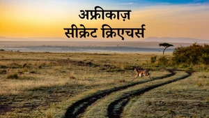 Africas Secret Creatures on Animal Planet Hindi - past program