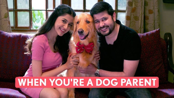 When You Are A Dog Parent on JioTV