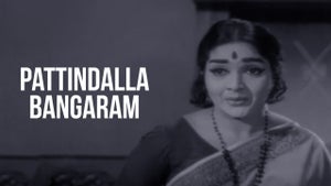 Pattindalla Bangaram on ETV Cinema - future program