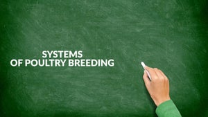 Systems Of Poultry Breeding on DD Gyandarshan - past program