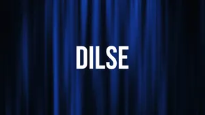 Dilse on Nepal one - past program