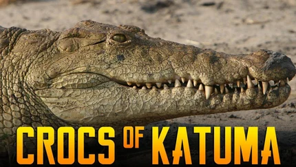 Crocs Of Katuma on Animal Planet English
