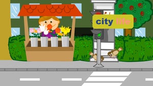 City Life on Duck TV - past program