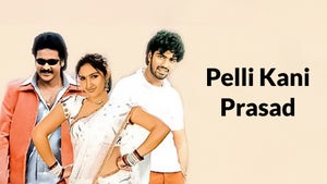 Pelli Kani Prasad on Sun Gemini Movies HD - future program