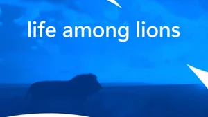 Life Among Lions on Animal Planet HD English - past program