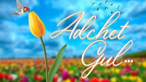 Adchet Gul on DD Kashir - past program