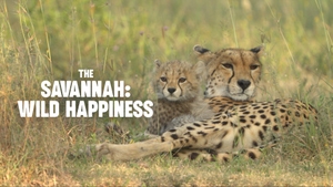 The Savannah: Wild Happiness on Animal Planet HD Hindi - past program