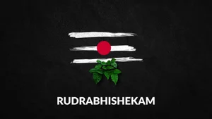 Rudrabhishekam on SVBC3 - past program