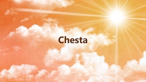 Chesta on Kalyan TV - past program