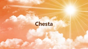 Chesta on Kalyan TV - past program