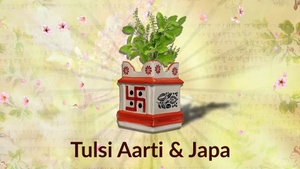 Tulsi Aarti & Japa on Hare krsna - past program