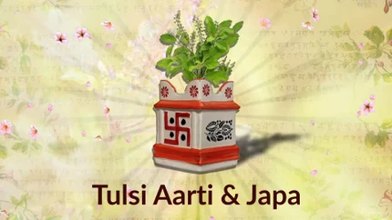 Tulsi Aarti & Japa on Hare krsna