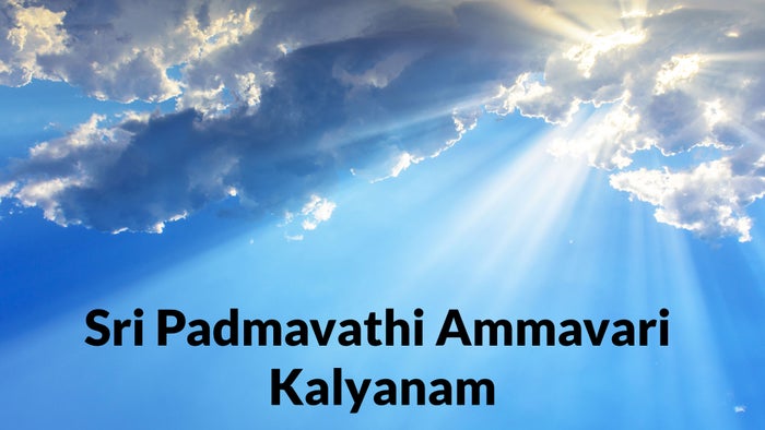 Sri Padmavathi Ammavari Kalyanam on JioTV