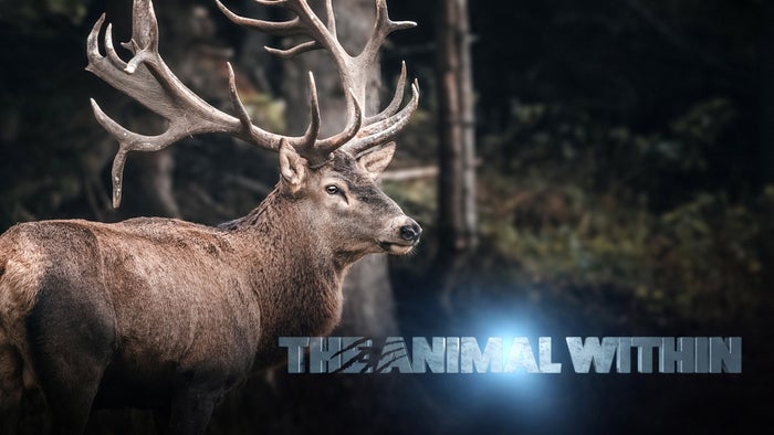 The Animal Within Episode No.1 on JioTV