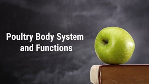 Poultry Body System and Functions on DD Gyandarshan - past program