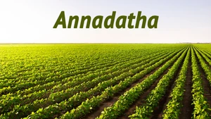 Annadatha on ETV Andhra pradesh