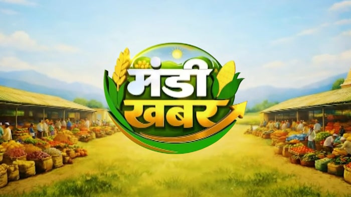 Mandi Khabar on JioTV