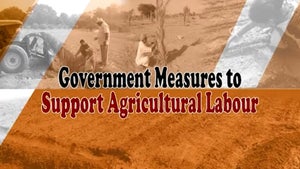 Government Measures of Support to Agricultural Labour on DD Gyandarshan - past program