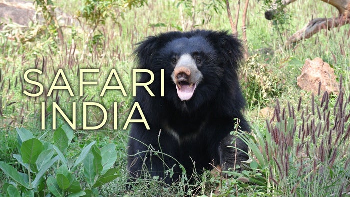 Safari India Episode No.6 on JioTV