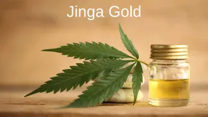 Jinga Gold on AMV - past program