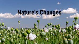 Nature's Changes on Animal Planet Hindi