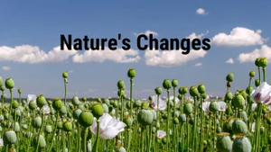 Nature's Changes on Animal Planet Hindi