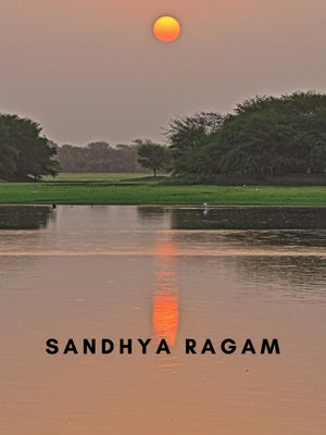 Sandhya Raagam Episode 879 on Zee Tamil HD - past program