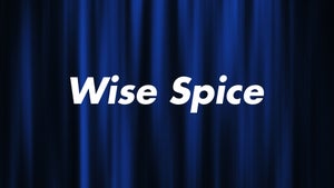 Wise Spice Episode 11 on DD5 Podhigai - future program