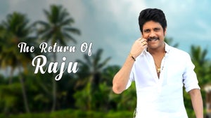 The Return of Raju on Zee Cinema - past program