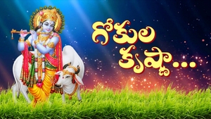 Gokula Krishnaa..! on ETV Life - past program