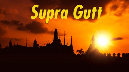 Supra Gutt on Darshan 24