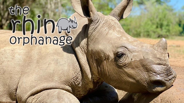Rhino Orphanage Episode No.4 on JioTV