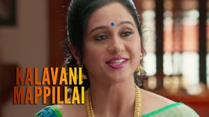 Kalavani Mappillai on Zee Thirai - future program