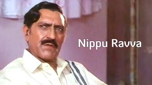 Nippu Ravva on ETV Cinema HD  - past program