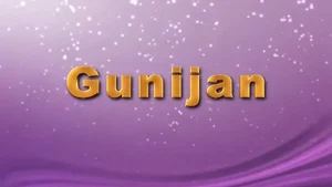 Gunijan on DD bharati