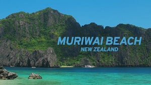 Muriwai Beach: New Zealand on Stingray Naturescape - future program