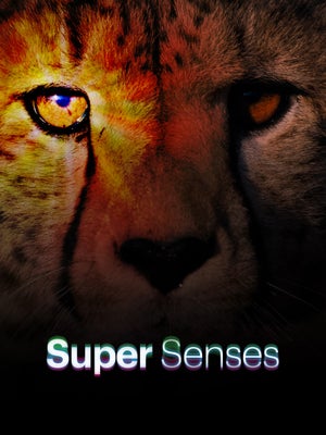 Super Senses Episode 6 on INWILD - past program