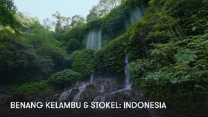 Benang Kelambu & Stokel: Indonesia on Stingray Naturescape - future program