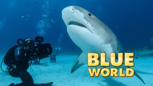Blue World Episode 9 on INWILD - past program