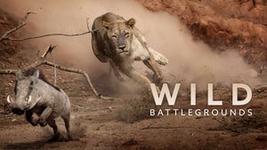 Wild Battleground Episode 3 on Animal Planet HD English - past program