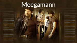 Meegamann on Colors Tamil HD - past program