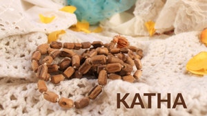 Katha on Bhakti Sagar TV - past program