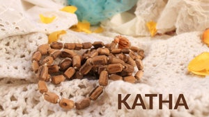 Katha on Bhakti Sagar TV - past program